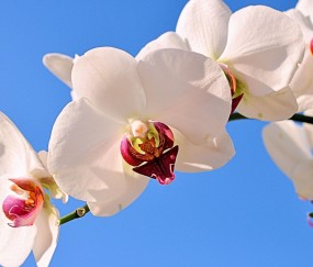 呈贡正规助孕捐卵机构，附正规捐卵机构报名表！
